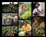 Acuerdo sobre la agricultura