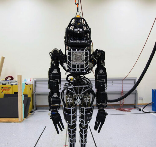 Exhinicion de un robot con compartimientos bilologuicos