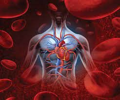 Efectos biológicos de la radiación