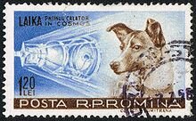 First dog into orbit