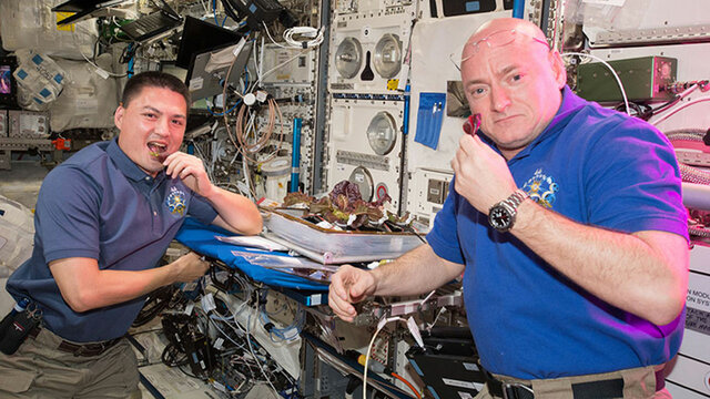 First food grown in space