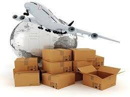 PROYECTO DEL ARANCEL DEL BELGA, MARIO CAMPEN