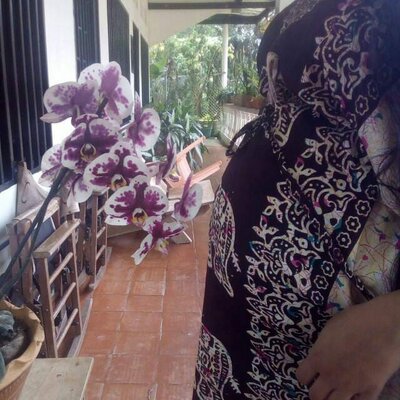 Timeline: Historia de vida