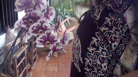 Timeline: Historia de vida