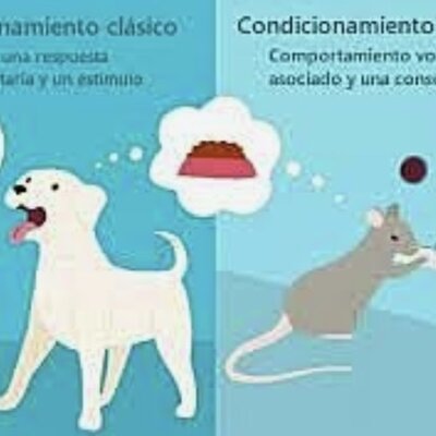 Timeline: Origen y evolución del condicionamiento clásico y condicionamiento operante.