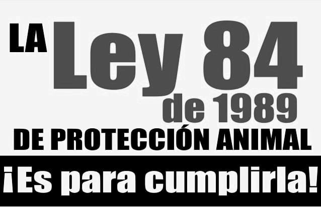 Ley 84 de 1989