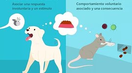Timeline: Origen y Evolución del Condicionamiento Clásico y Condicionamiento Operante. (Leidy Laura Susana Reyes 100472618)