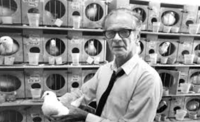 Condicionamiento operante