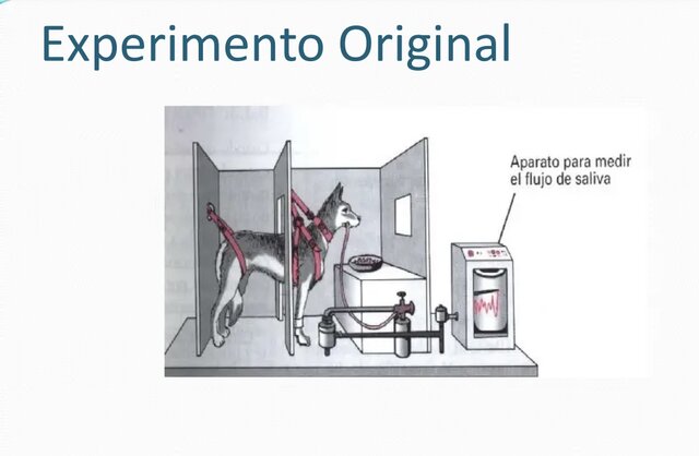 Procesos del condicionamiento clásico