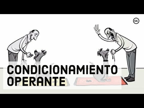 El condicionamiento operante o instrumental
