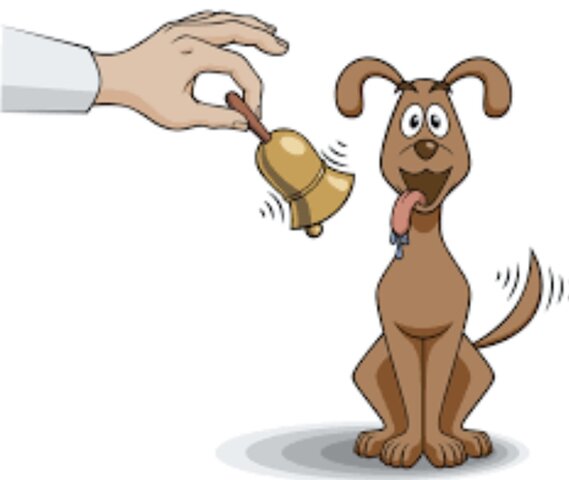 Pavlov y los estímulos