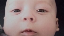 Timeline: Producto integrador U1-linea del tiempo