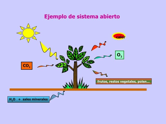 Desarrollo de más conceptos