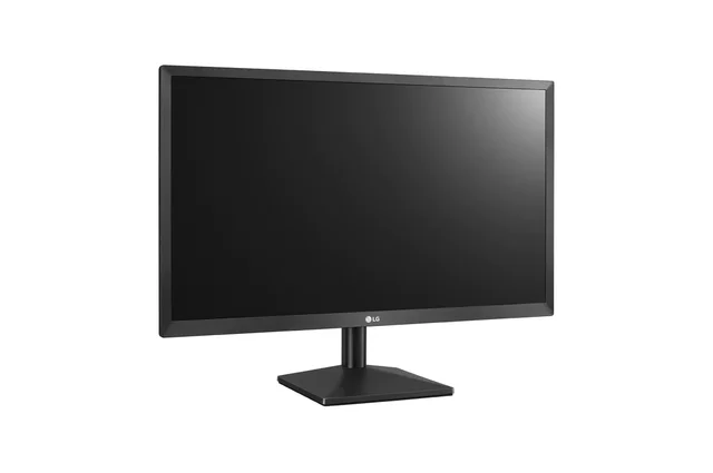 Monitor (Salida)