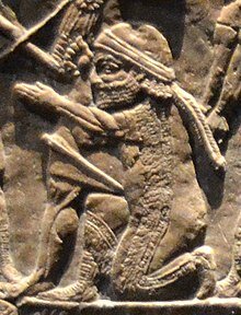 The Antiquities Period: The Many Rulers of Iran