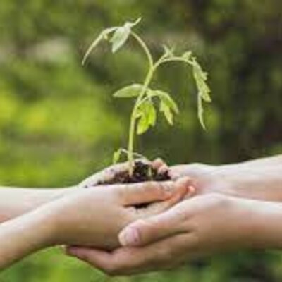 Timeline: Desarrollo Sustentable