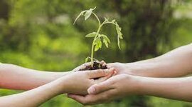 Timeline: Desarrollo Sustentable