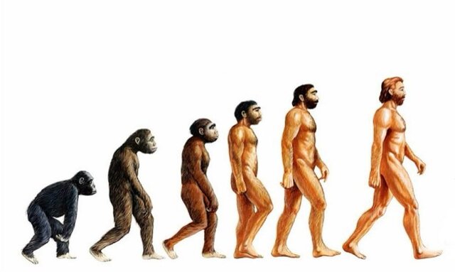 Teoria de la Evolucion