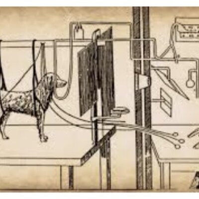 Timeline: Origen y evolución del Condicionamiento Clásico y el Condicionamiento Operante