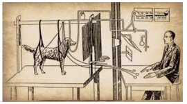 Timeline: Origen y evolución del Condicionamiento Clásico y el Condicionamiento Operante