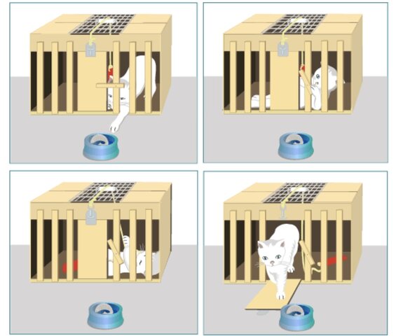 Experimentos de Edward Thorndike