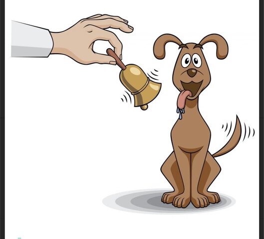 Pávlov y los estímulos