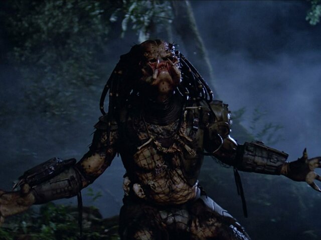 The Predator