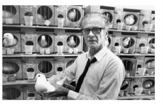 El trabajo de Skinner