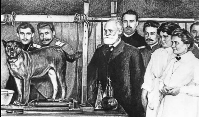 El estudio de medicina