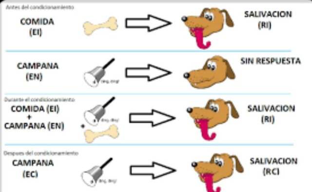 Sus primeros experimentos