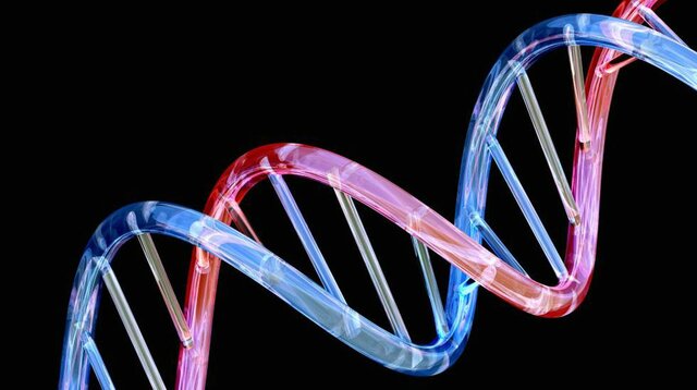 Decipher the human genome