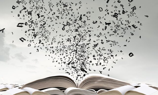 ¿Por qué consideras importante el estudio de la gramática?