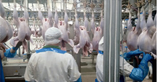 Matadero con normas higiénicas