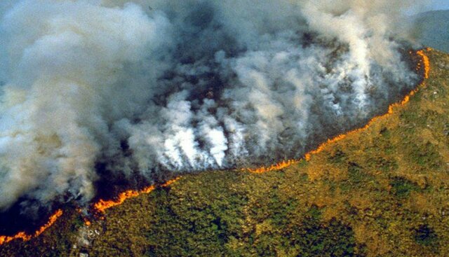 Incendios de la Selva del Amazonas