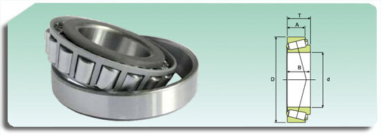 Primer rodamiento de rodillos cónicos