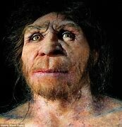 Homo antecessor