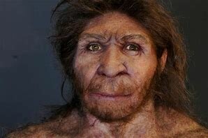 Homo heidelbergensis