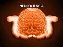 nacimiento de la "neurociencia"