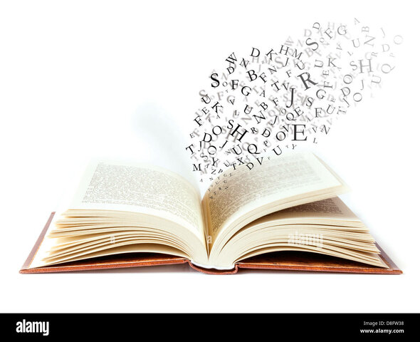 ¿Por qué es importante el estudio de las palabras?