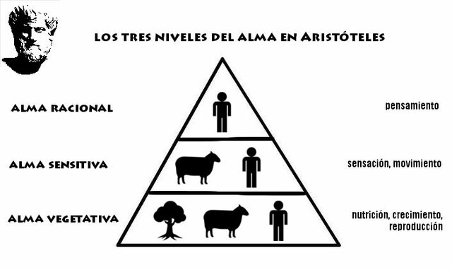 Aristóteles (384 - 322 ac)