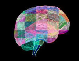 Teoria Triárquica - Robert J. Sternberg