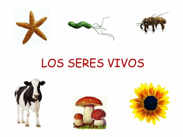 Teoria de los Seres vivos