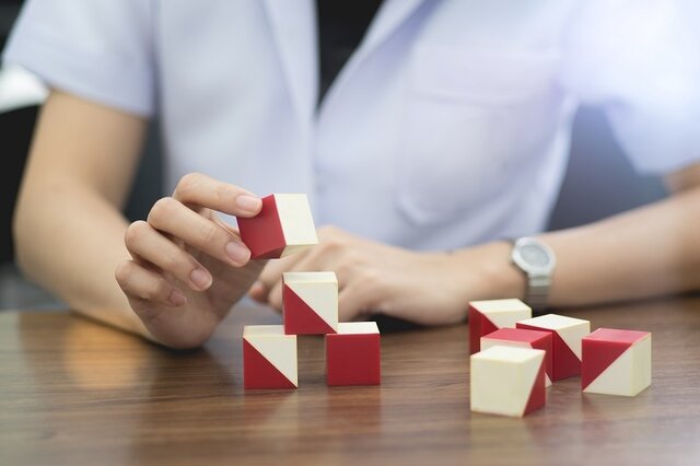 Mary Whithon Calkins (1863 - 1930)