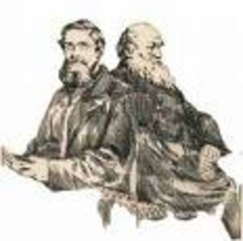 DARWIN Y WALLACE