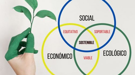 Timeline: Historia desarrollo sustentable