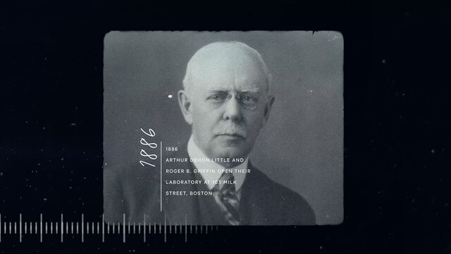 Consultoras informales.