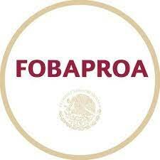 Creación del (FOBAPROA) Fondo Bancario de Protección al Ahorro.