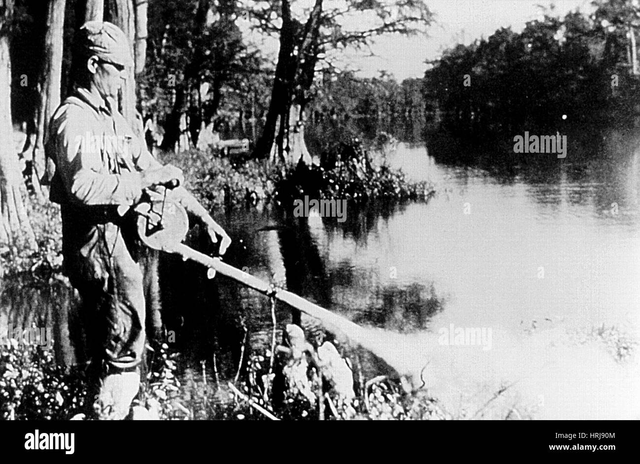 Programa para la Erradicación del Paludismo