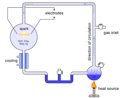 Inicio del planeta y evolución celular