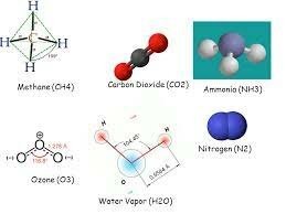 Inicio del planeta y evolución celular